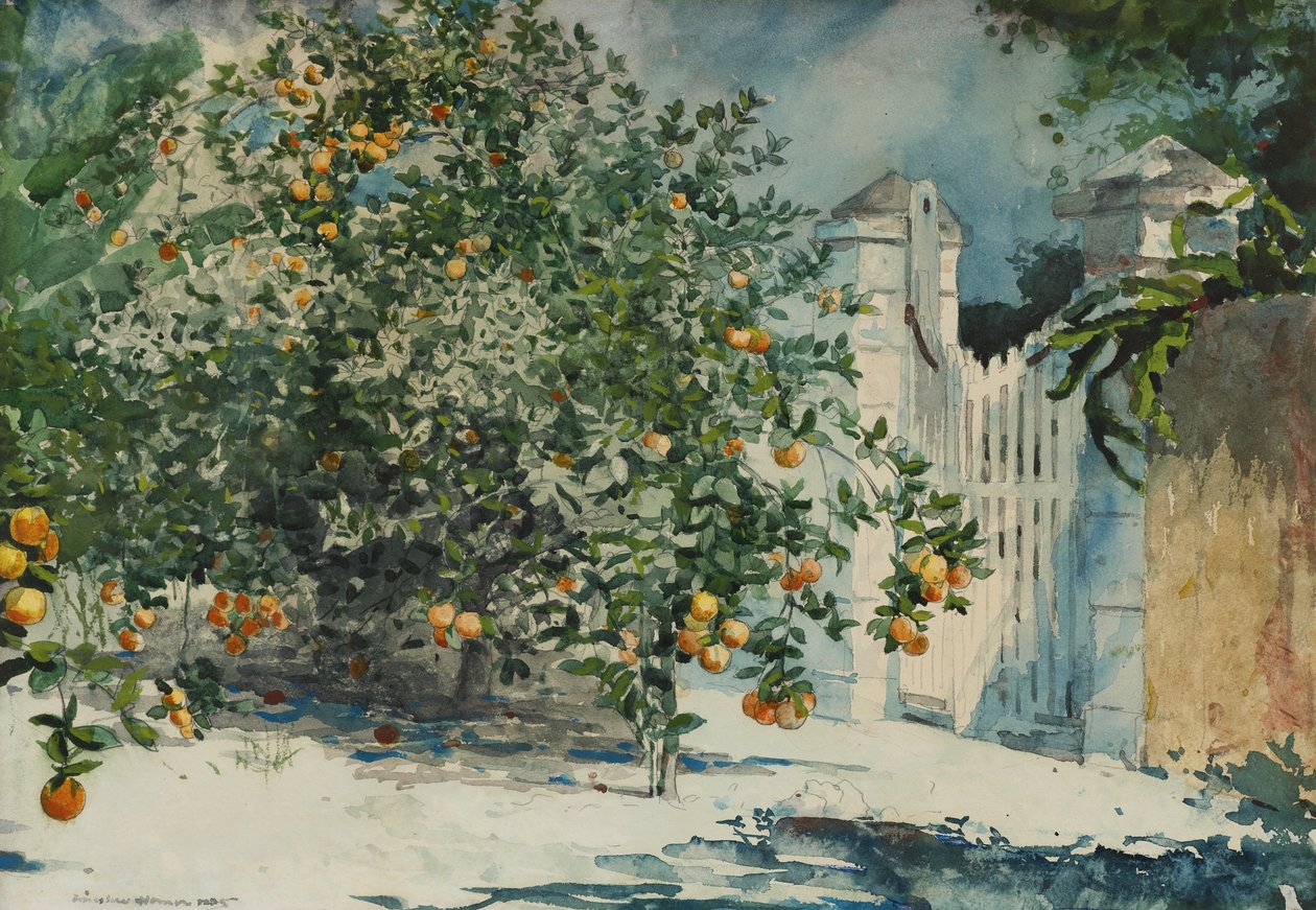 Orange trees and gate av Winslow Homer