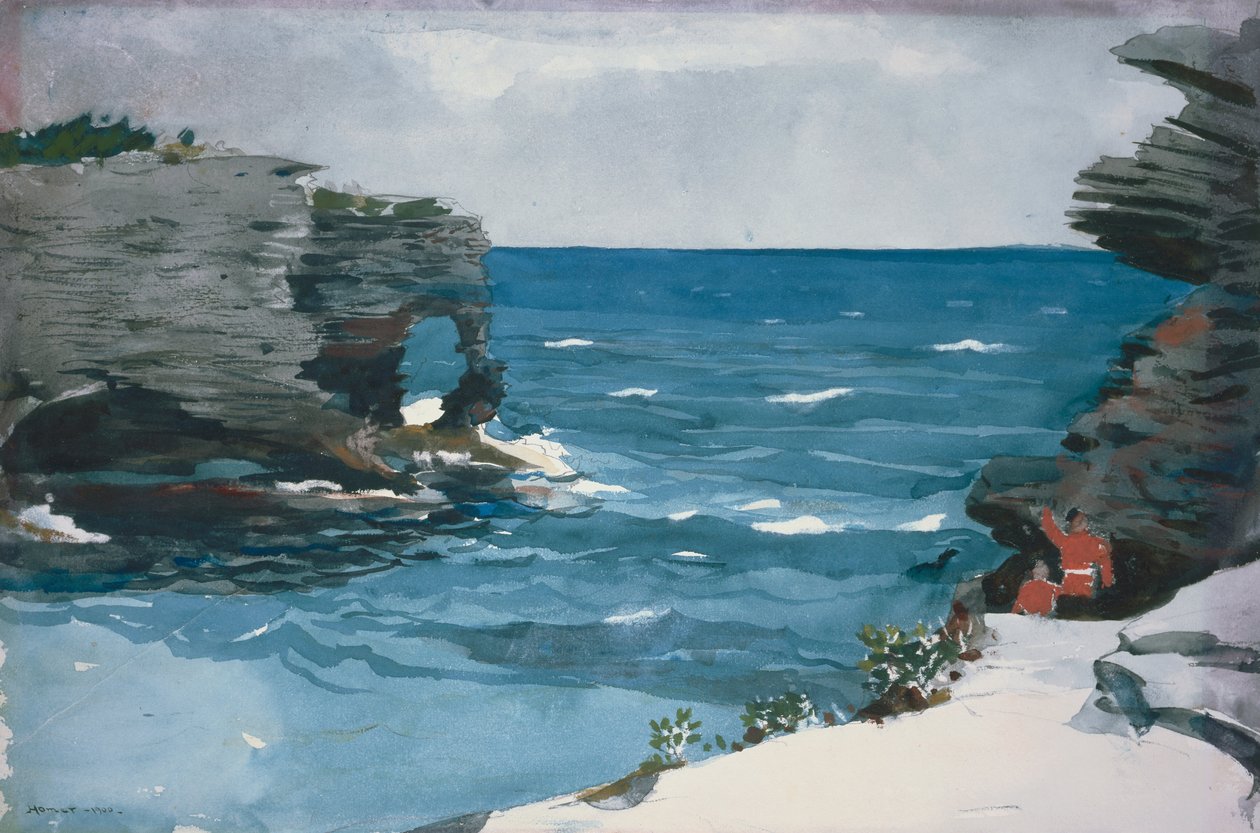 Rocky Shore, Bermuda av Winslow Homer