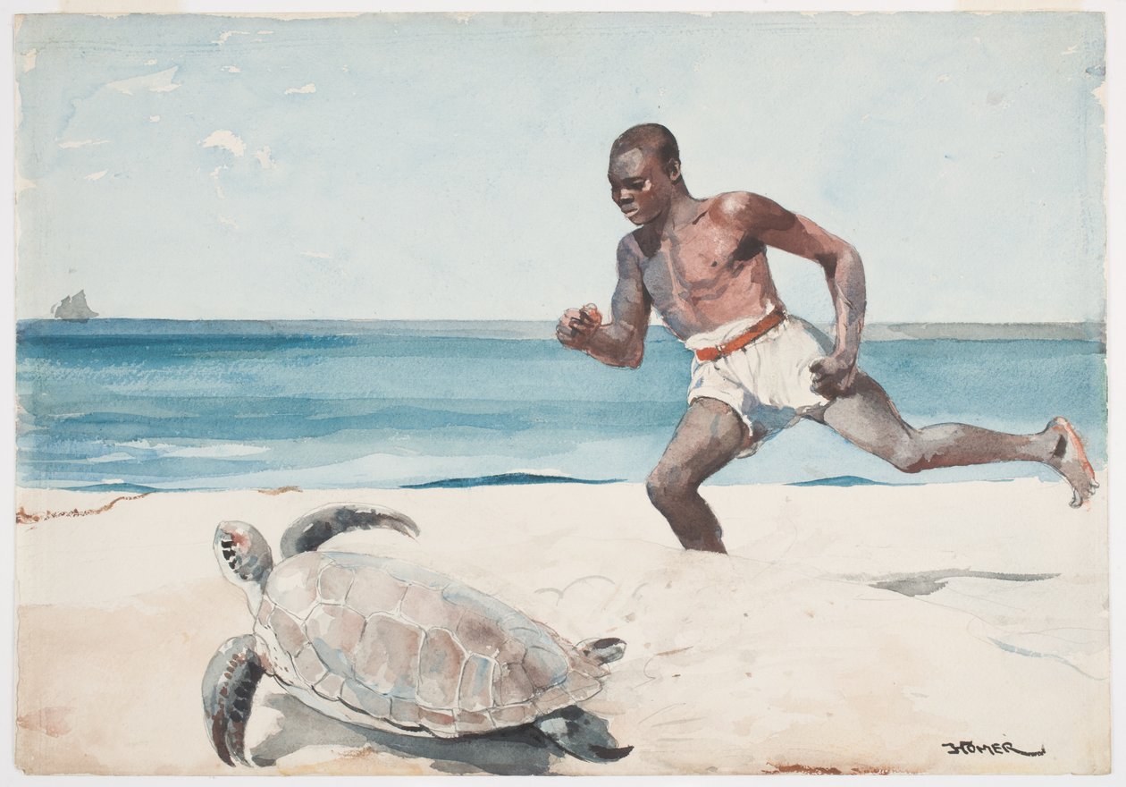 Rum Cay (wc over graphite on paper) av Winslow Homer