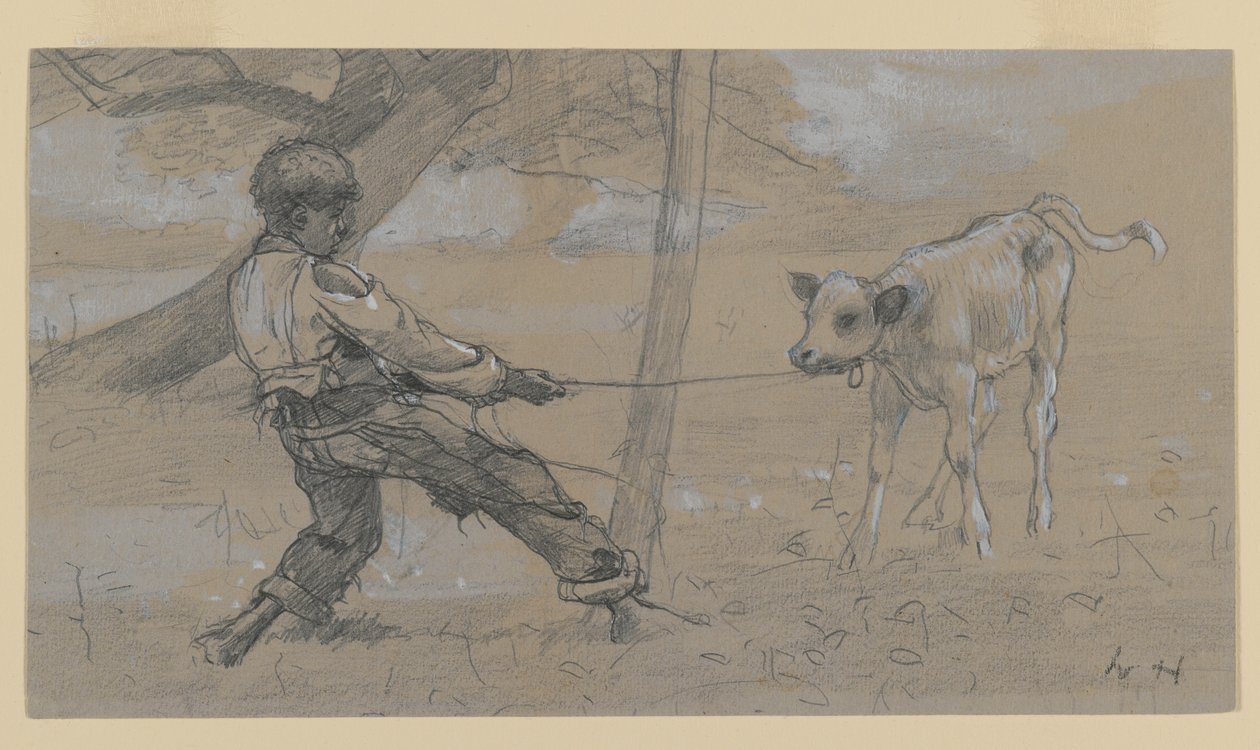 Den oregerliga kalven (grafit & kinesisk vit på vävt papper) av Winslow Homer