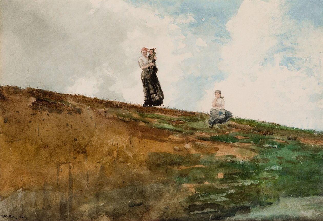 Watching from the Cliffs  av Winslow Homer
