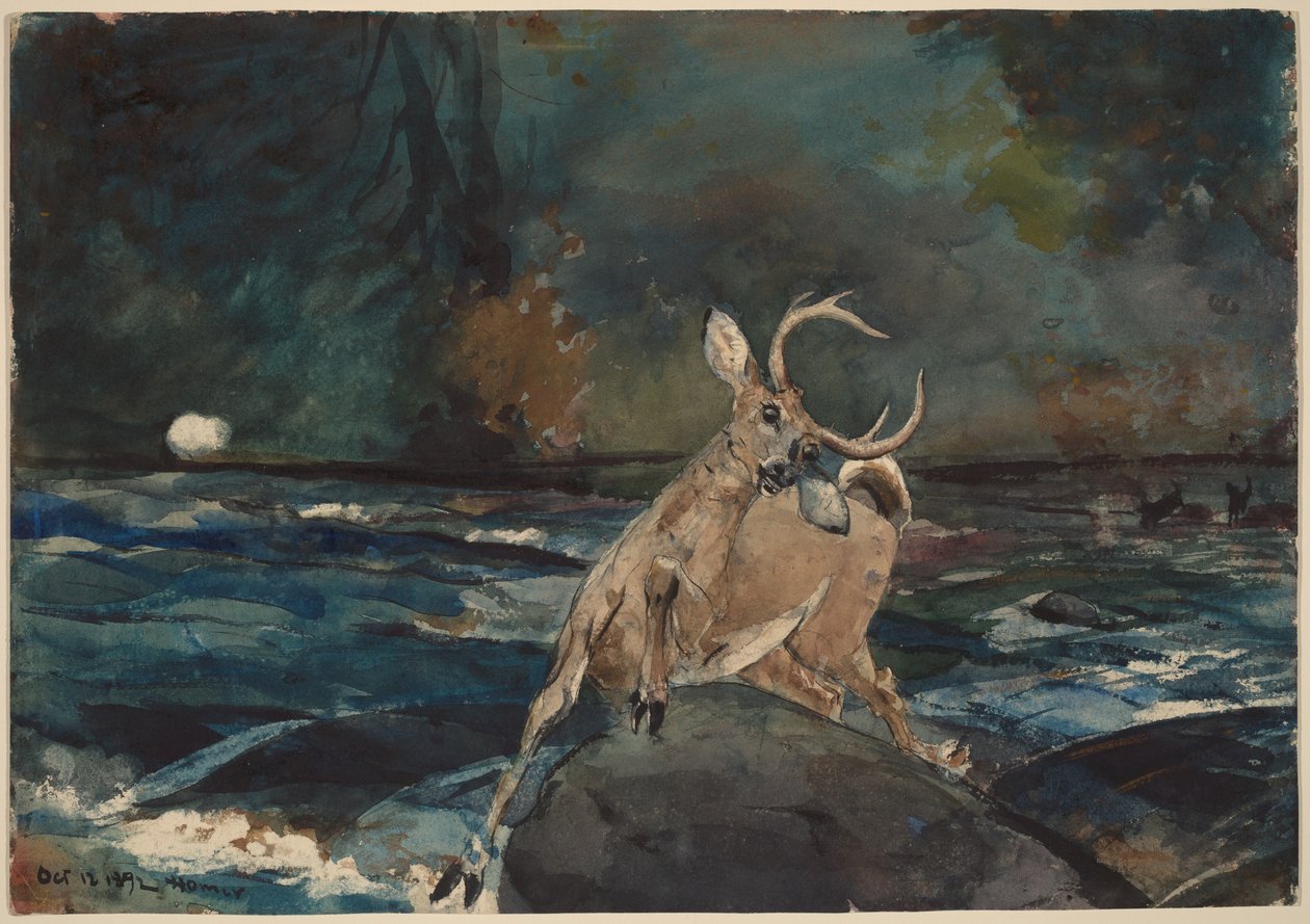 Ett bra skott, Adirondacks av Winslow Homer