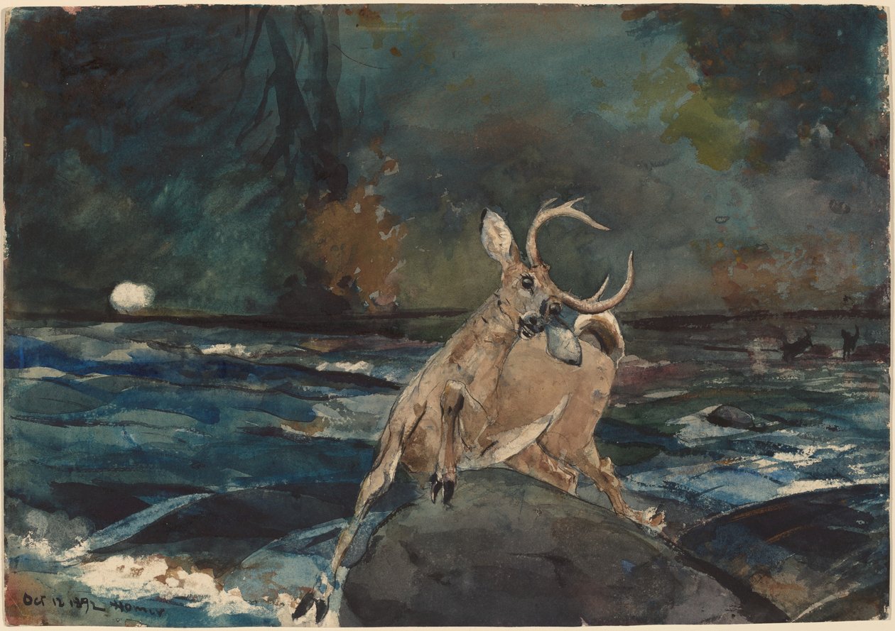 Ett bra skott, Adirondacks, 1892. av Winslow Homer