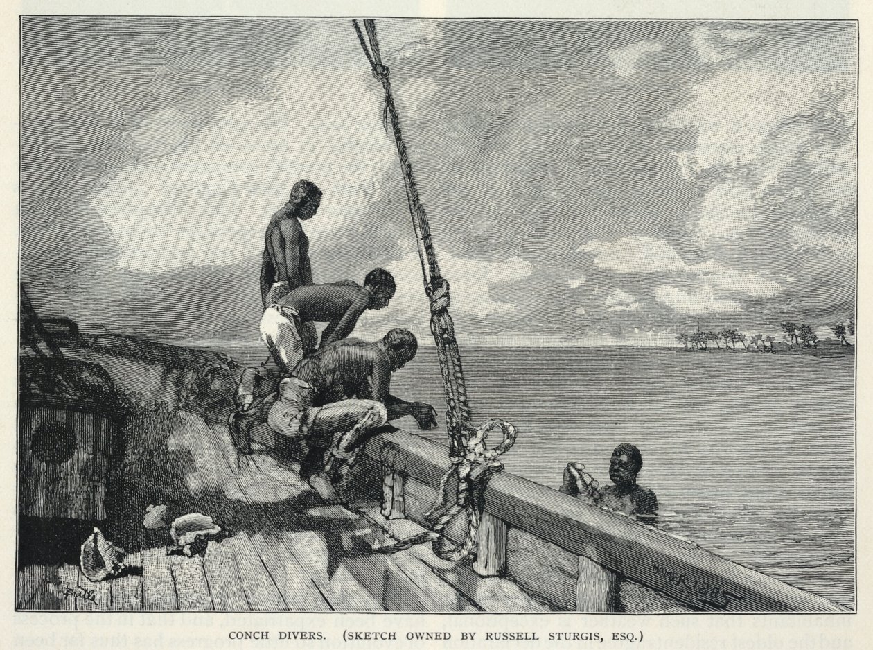 En orkan, odling av hampa, på Abaco Island, en blomsterförsäljare, konkylidykare, från The Century Magazine, februari 1887 av Winslow Homer