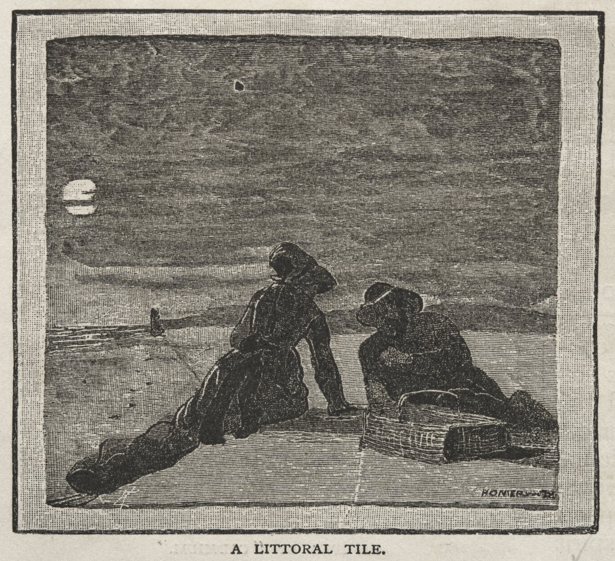 En kustkakel av Winslow Homer