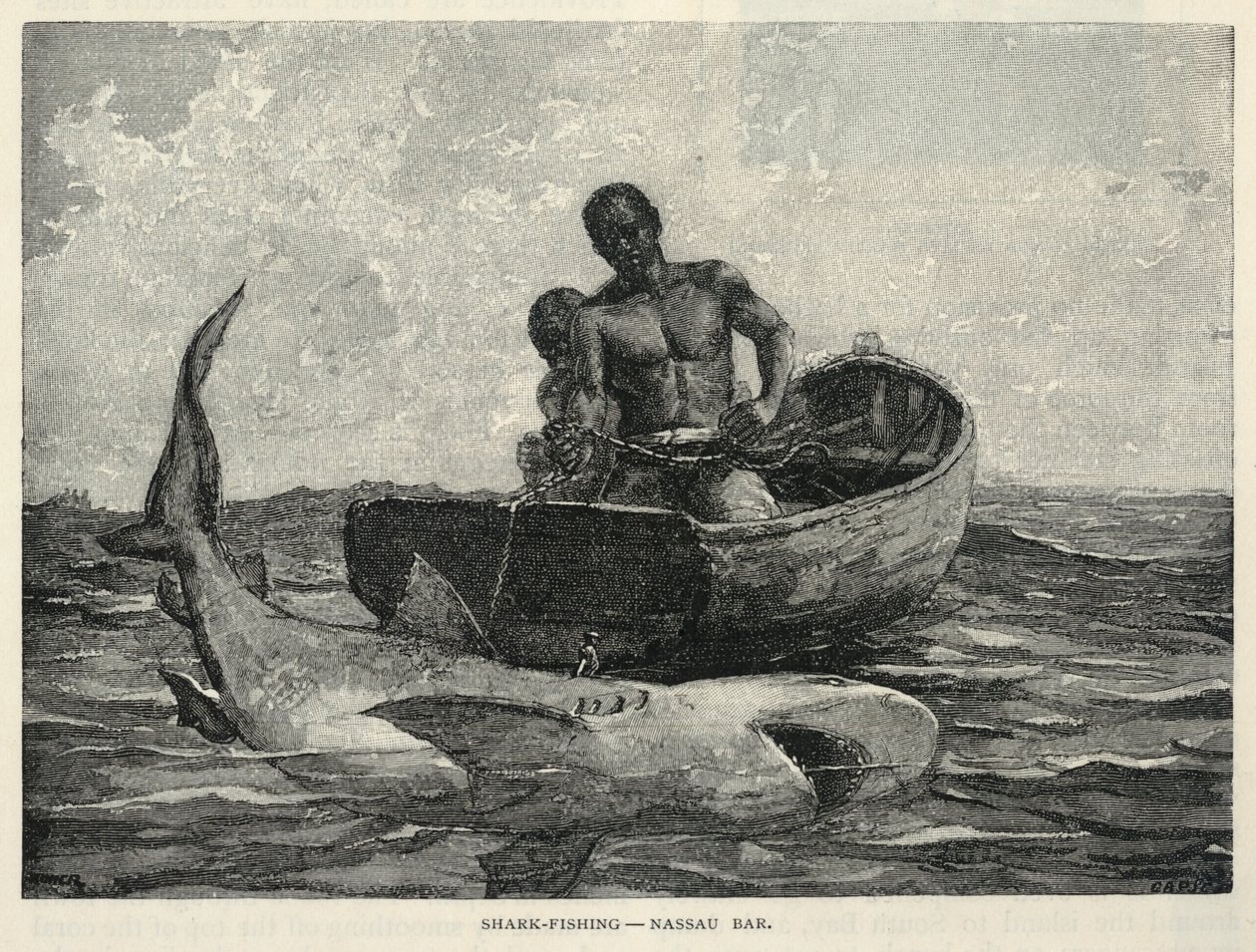 En gådfarihandlare, en Nassau Gateway, Hajfiske - Nassau Bar, från The Century Magazine, februari 1887 av Winslow Homer