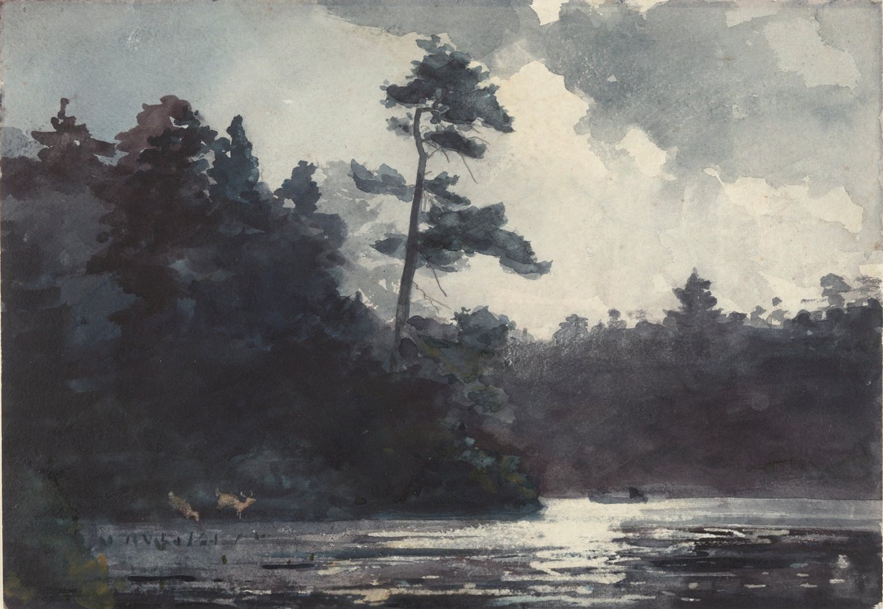 Adirondack Lake av Winslow Homer