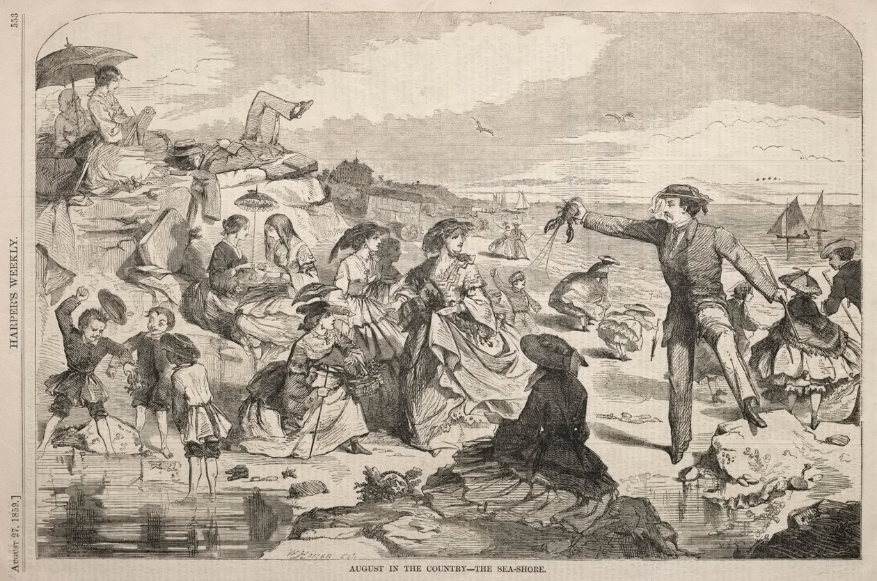 Augusti på landet - kusten av Winslow Homer