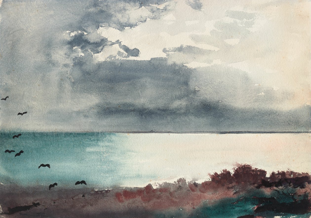 Kraftig storm, Maines kust av Winslow Homer