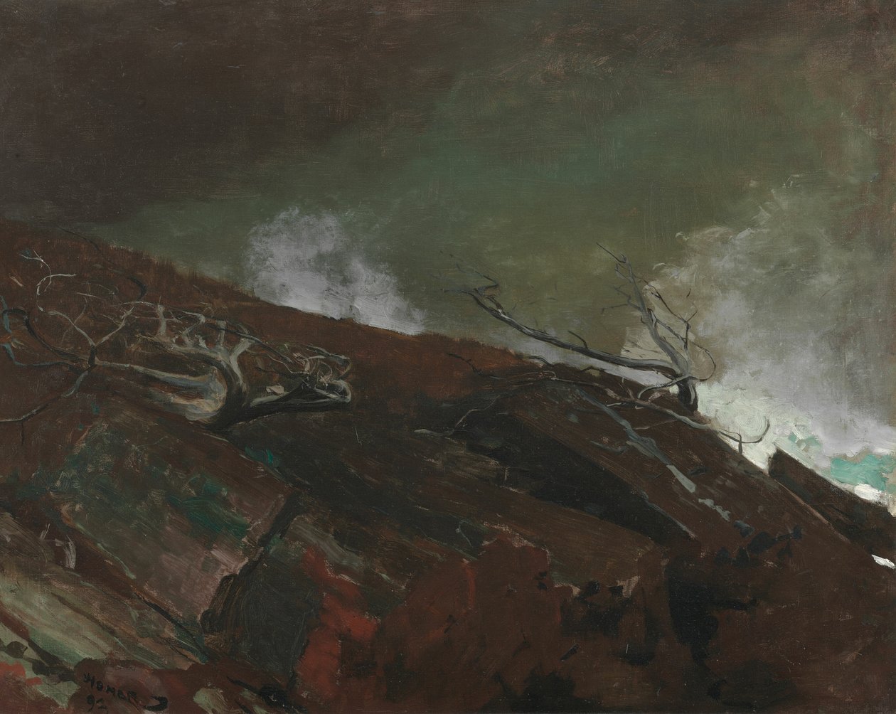 Maine kust av Winslow Homer
