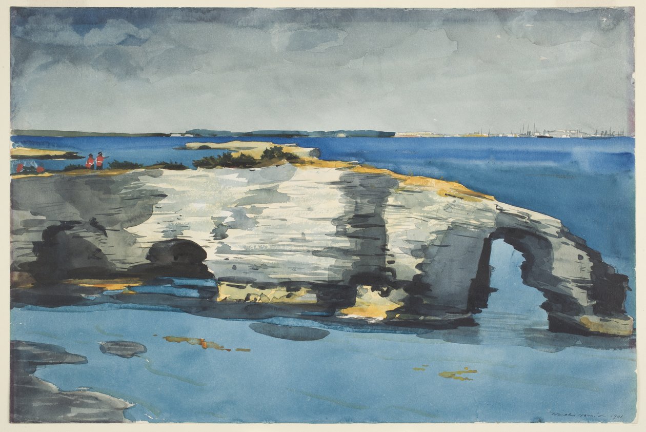 Korallbildning av Winslow Homer