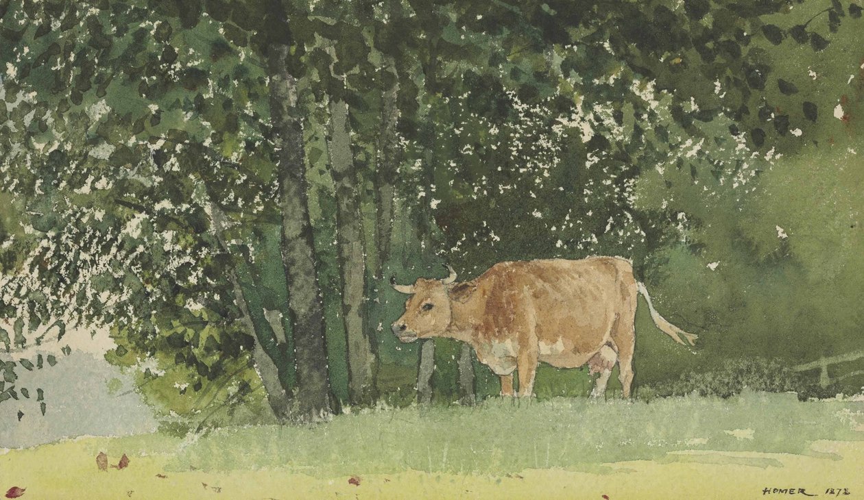 Ko på betesmark av Winslow Homer