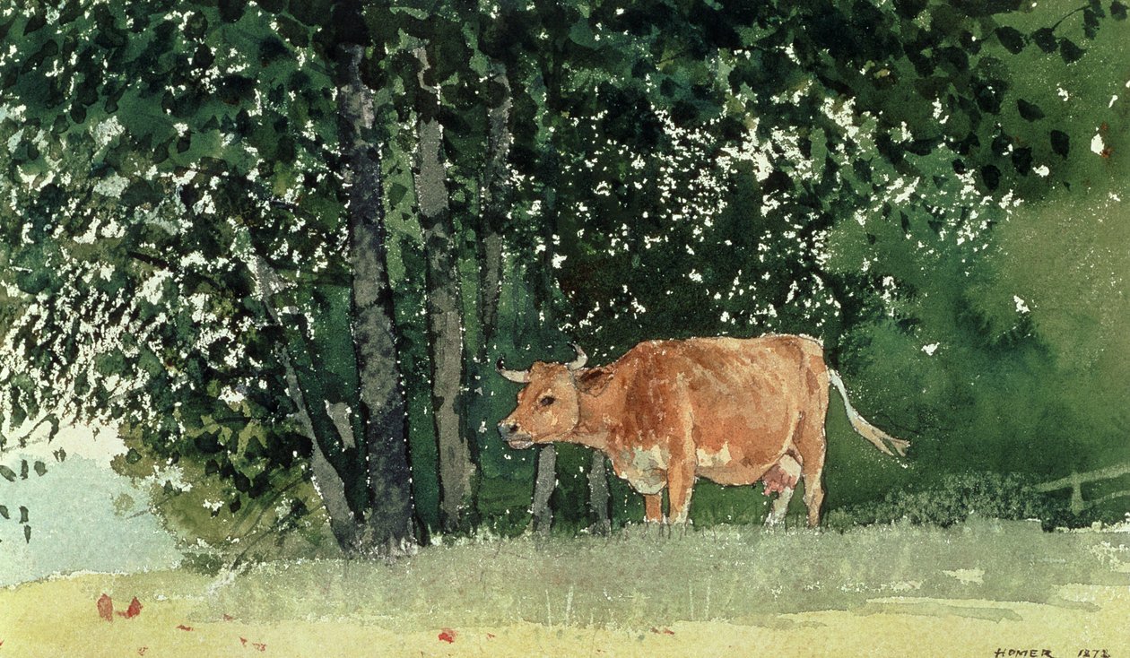 Ko i betesmark, 1878 av Winslow Homer
