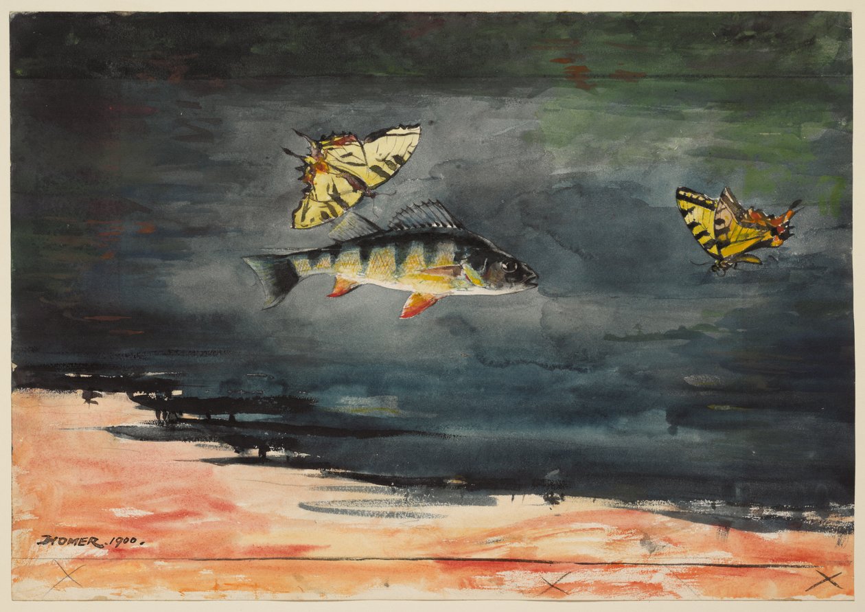 Fiskar och fjärilar av Winslow Homer