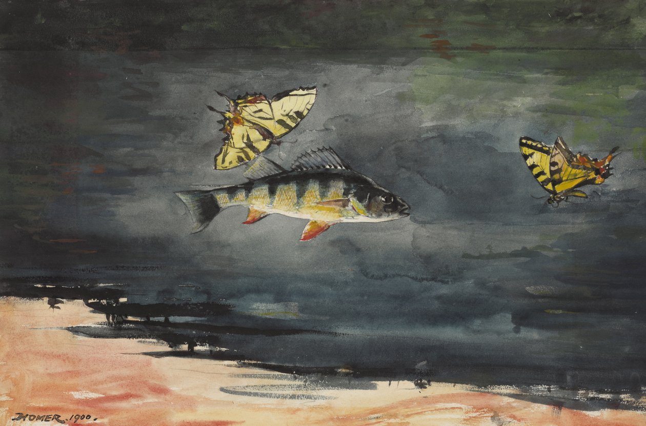 Fisk och fjärilar, 1900 av Winslow Homer