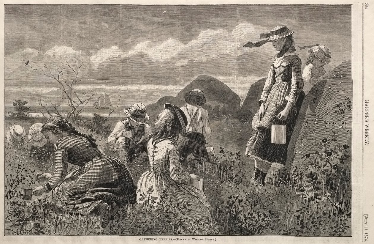 Samla bär, 1874. av Winslow Homer