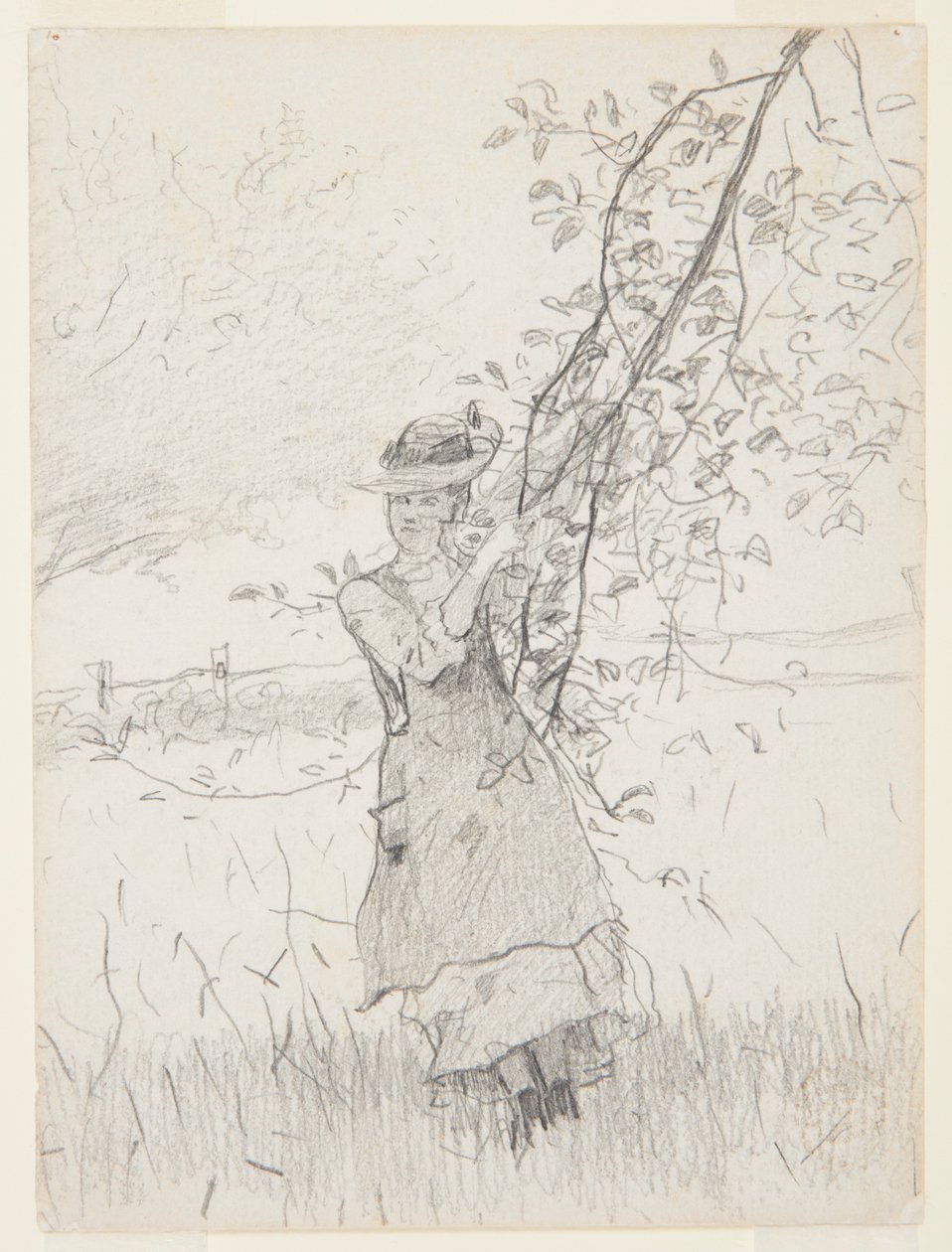 Flicka som håller en gren av ett äppelträd av Winslow Homer