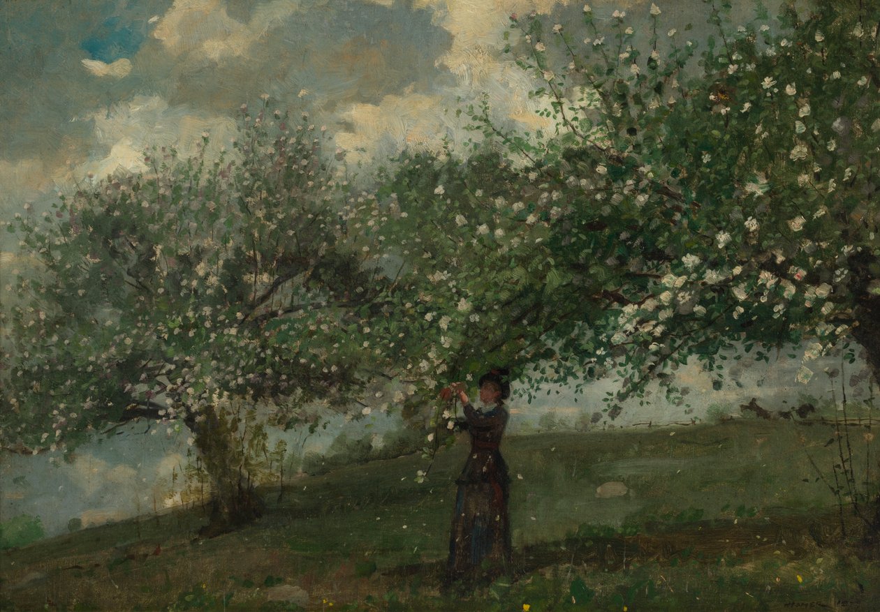 Flicka som plockar äppelblommor, 1879. av Winslow Homer