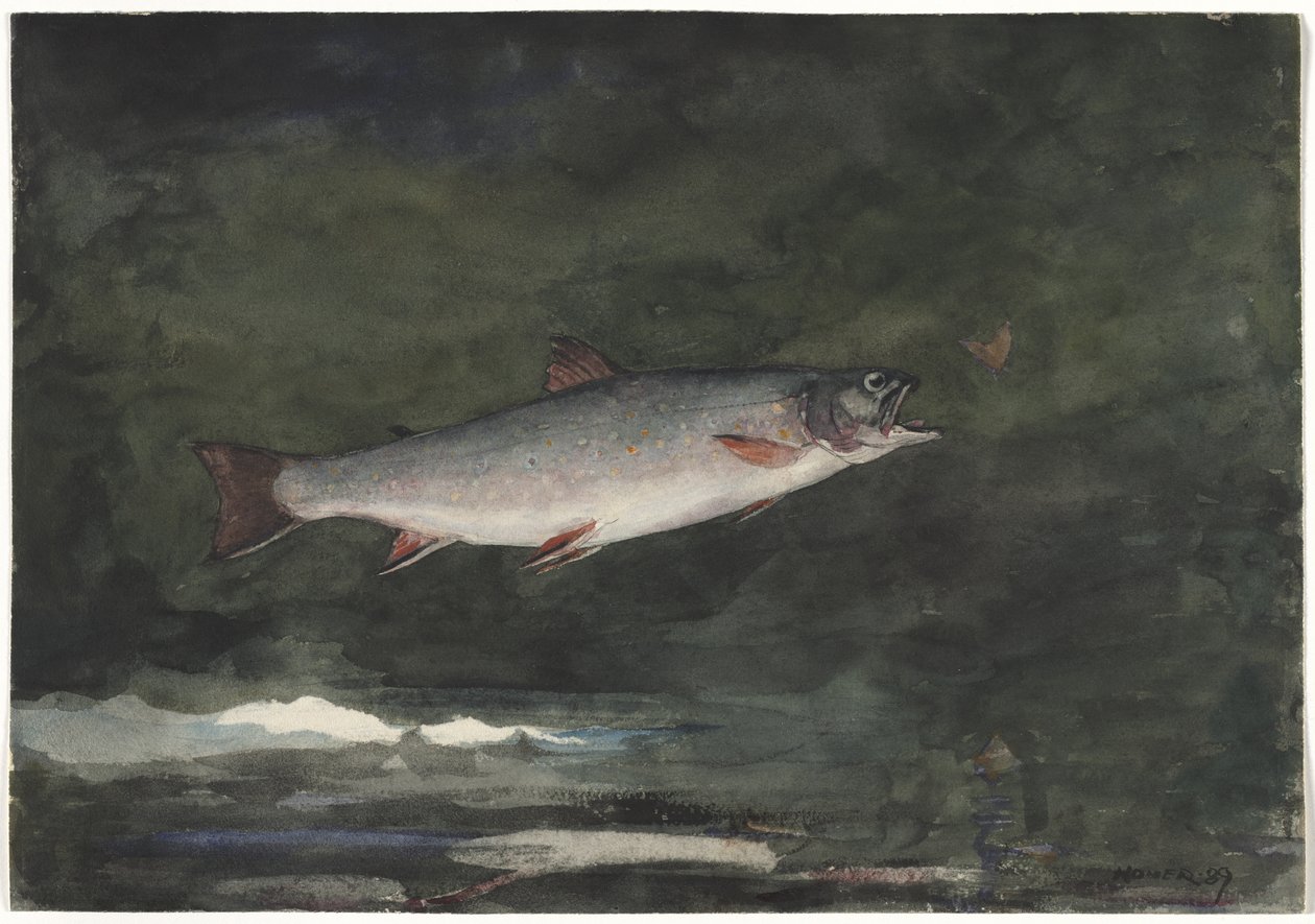 Den hoppande öringen av Winslow Homer