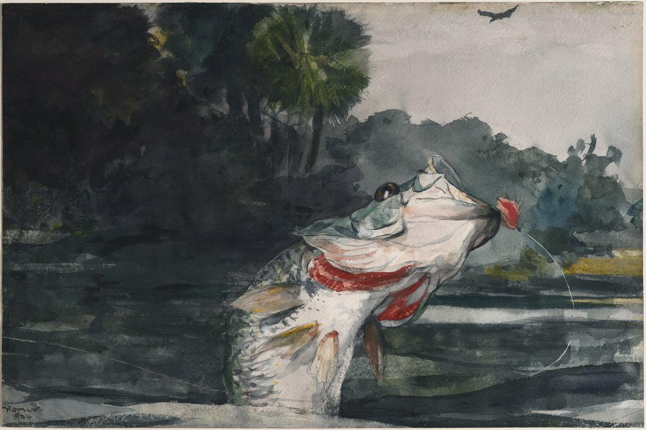 Svartabborre i naturlig storlek av Winslow Homer