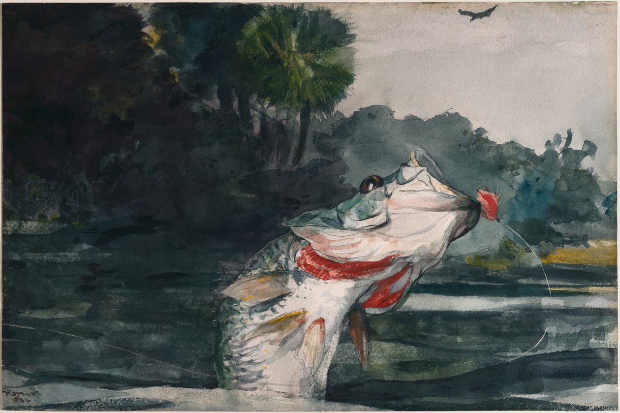 Svartabborre i naturlig storlek av Winslow Homer