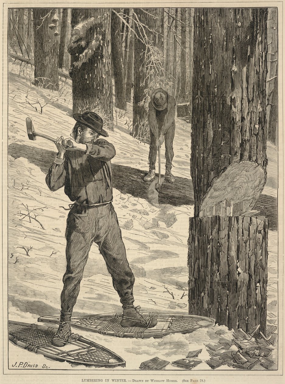 Skogsavverkning på vintern, från Every Saturday: A Journal of Choice Reading, 28 januari 1871 av Winslow Homer