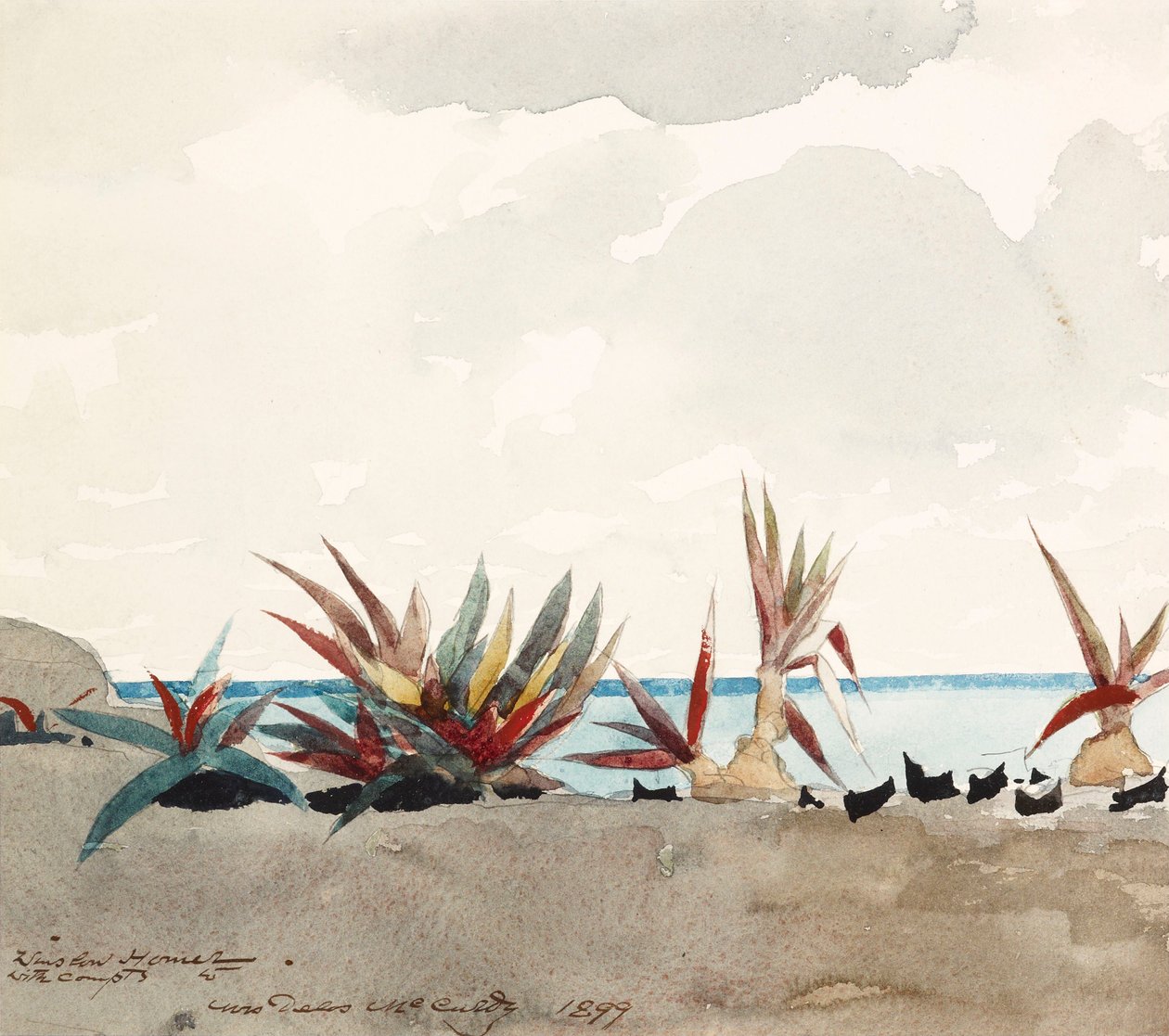 Nassau Beach med agavor av Winslow Homer
