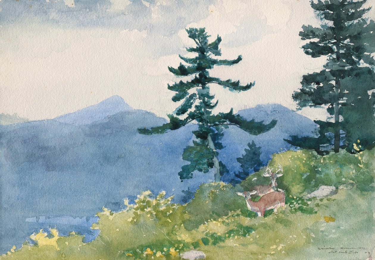 North Woods Club, Adirondacks (The Interrupted Tete-a-Tete) av Winslow Homer
