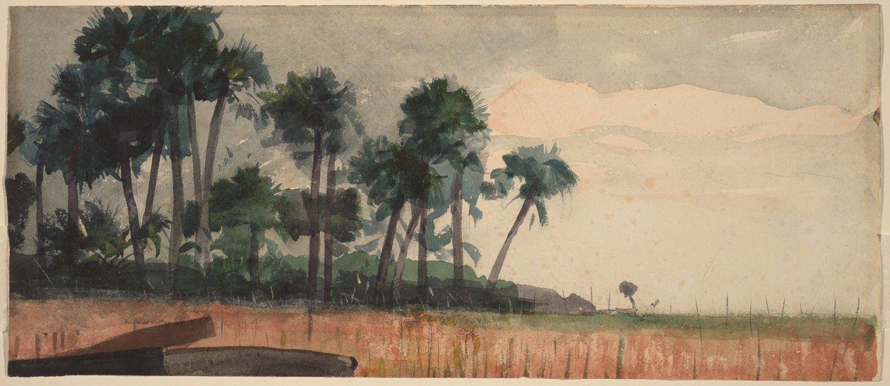 Röda palmer av Winslow Homer