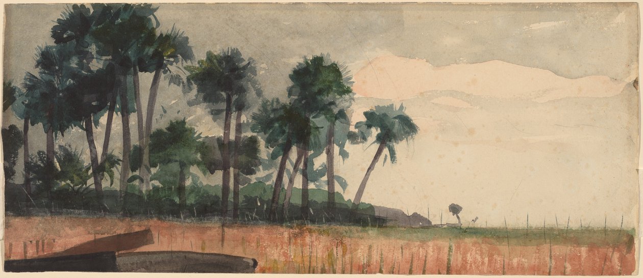Palmer, röda, 1890. av Winslow Homer