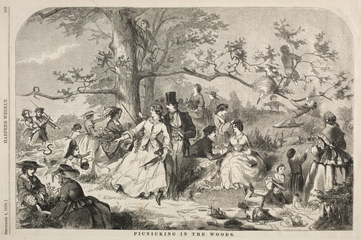 Picknick i skogen av Winslow Homer