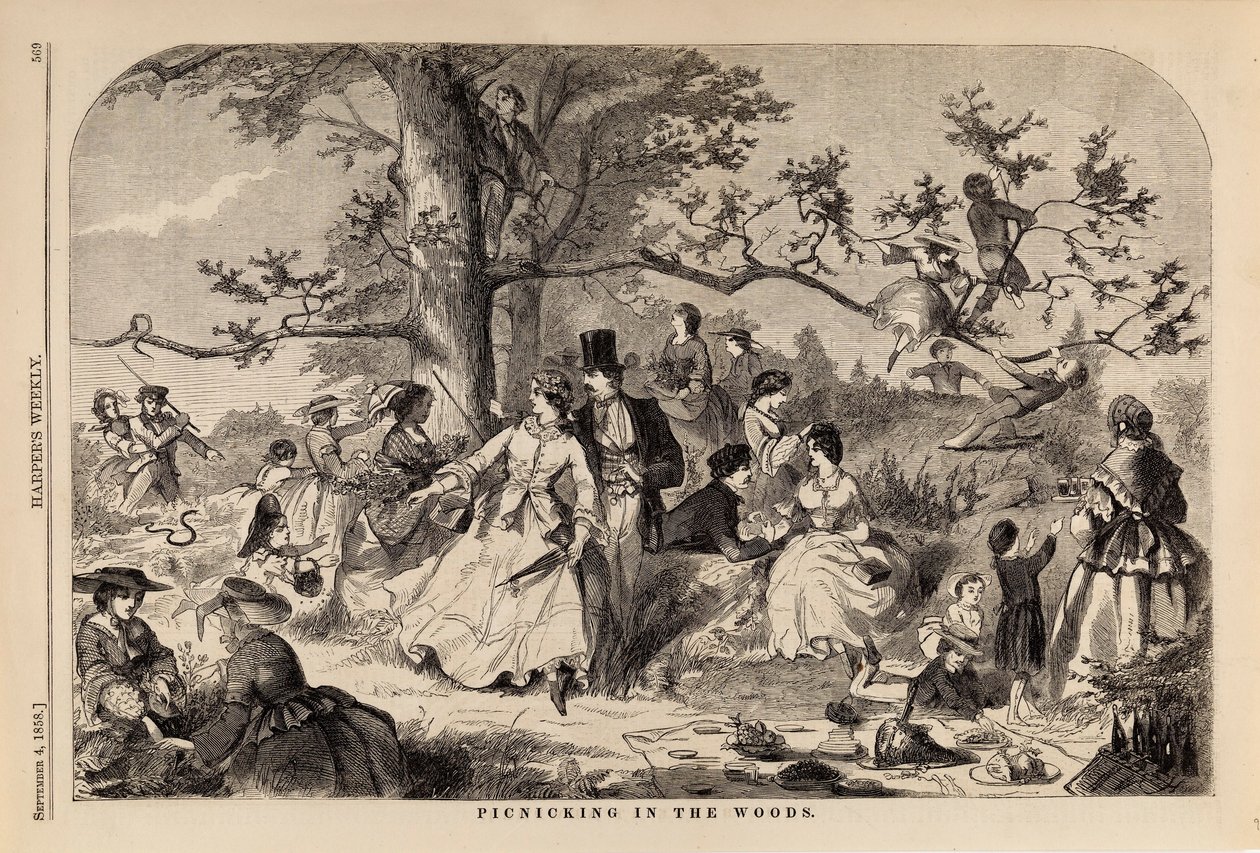 Picknick i skogen, från Harper