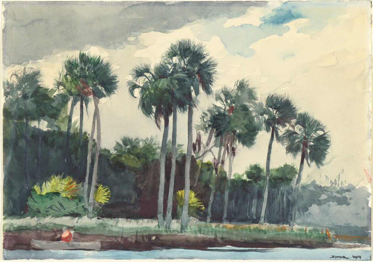 Röd skjorta, Homosassa, Florida av Winslow Homer