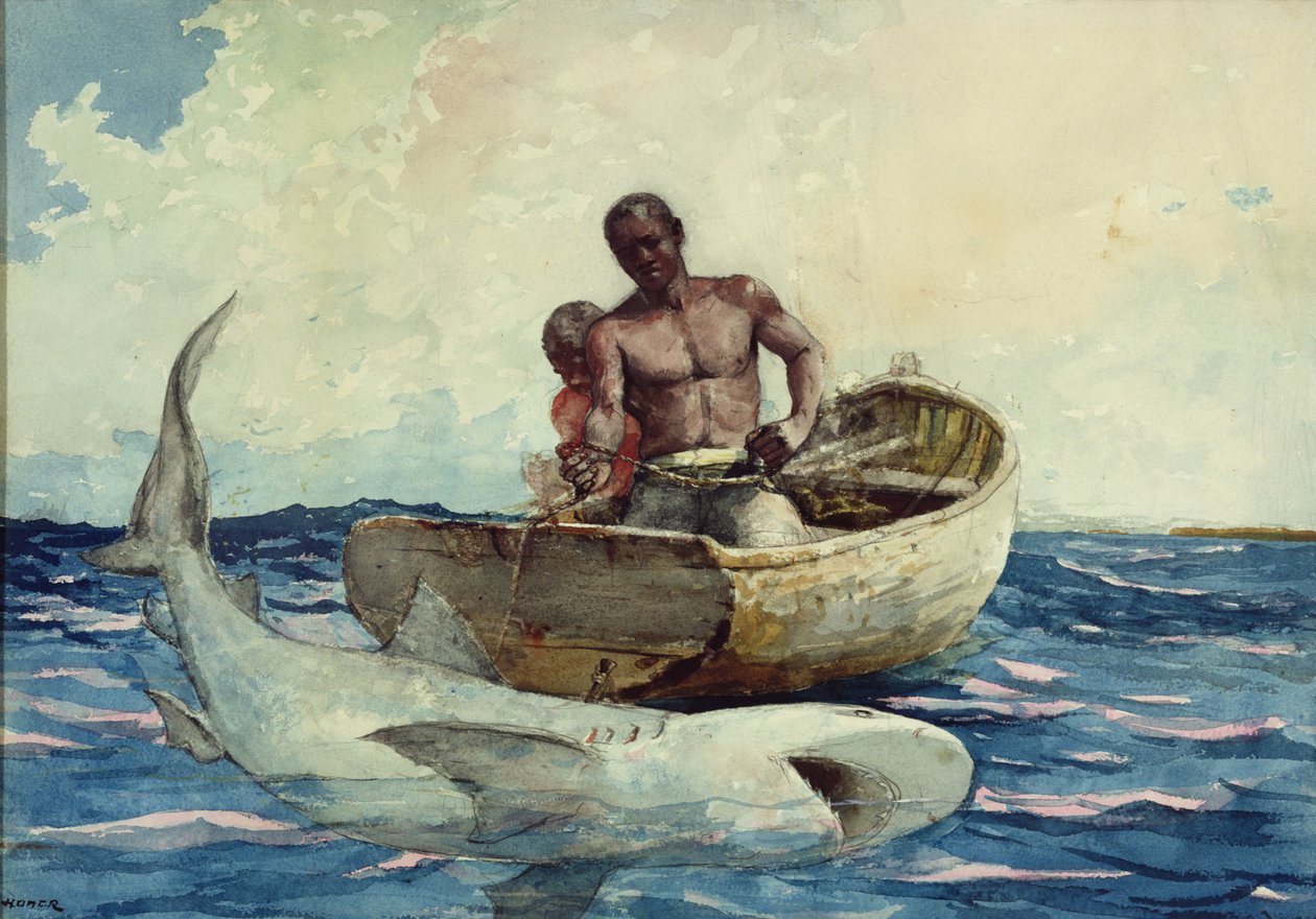 Hajfiske, 1885 av Winslow Homer