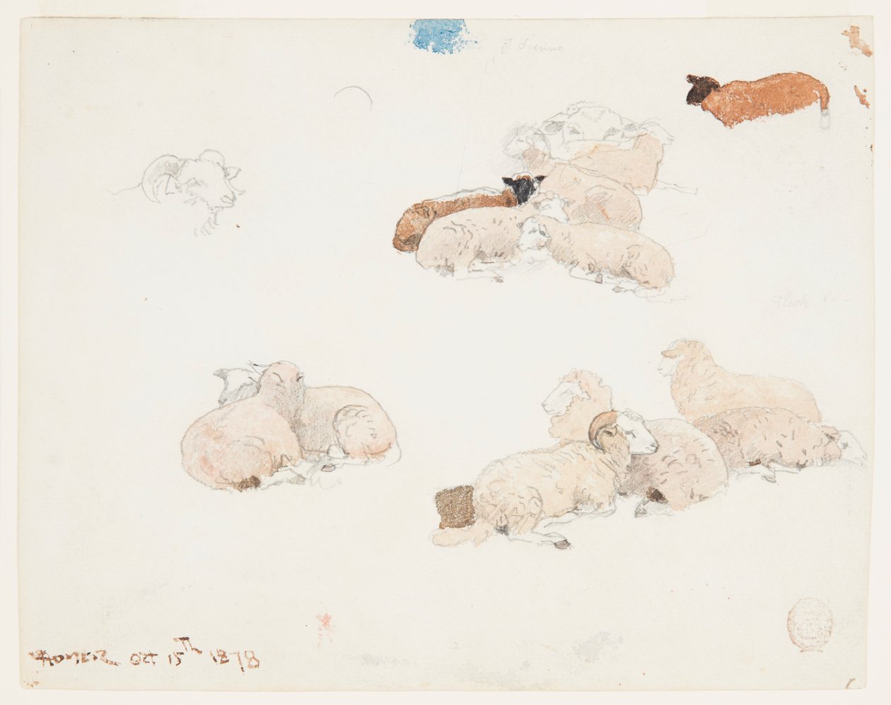 Får vilar av Winslow Homer
