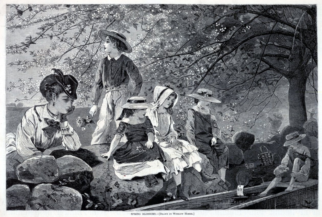 Spring Blossoms, från Harper
