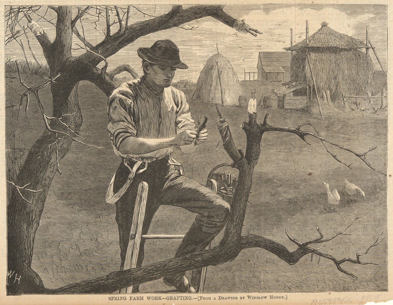 Vårens gårdsarbete av Winslow Homer