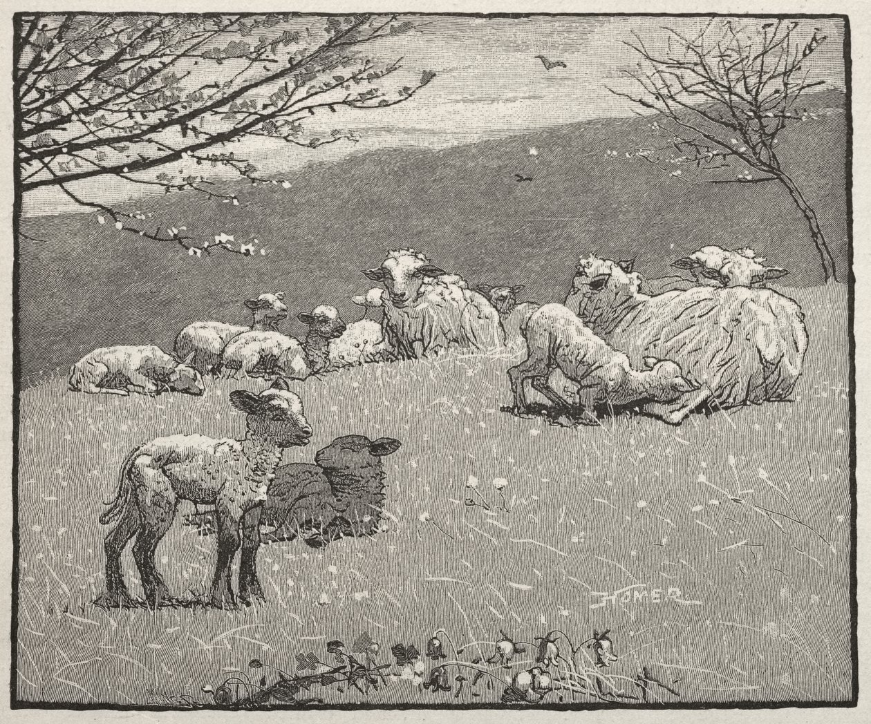 Vårlamm av Winslow Homer