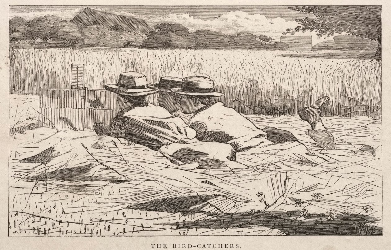 Fågelfångarna av Winslow Homer