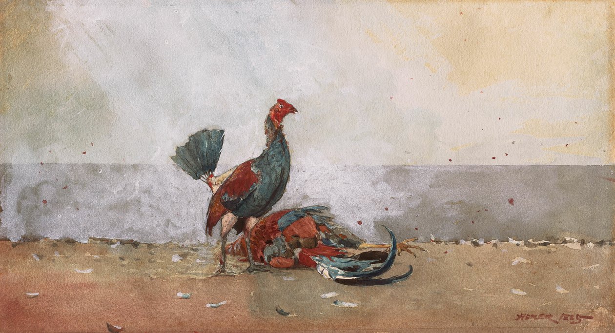 Tuppkampen av Winslow Homer