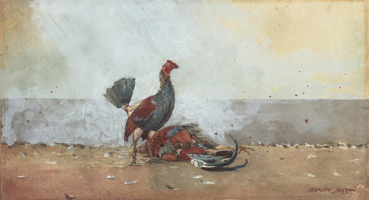 Tuppkampen av Winslow Homer