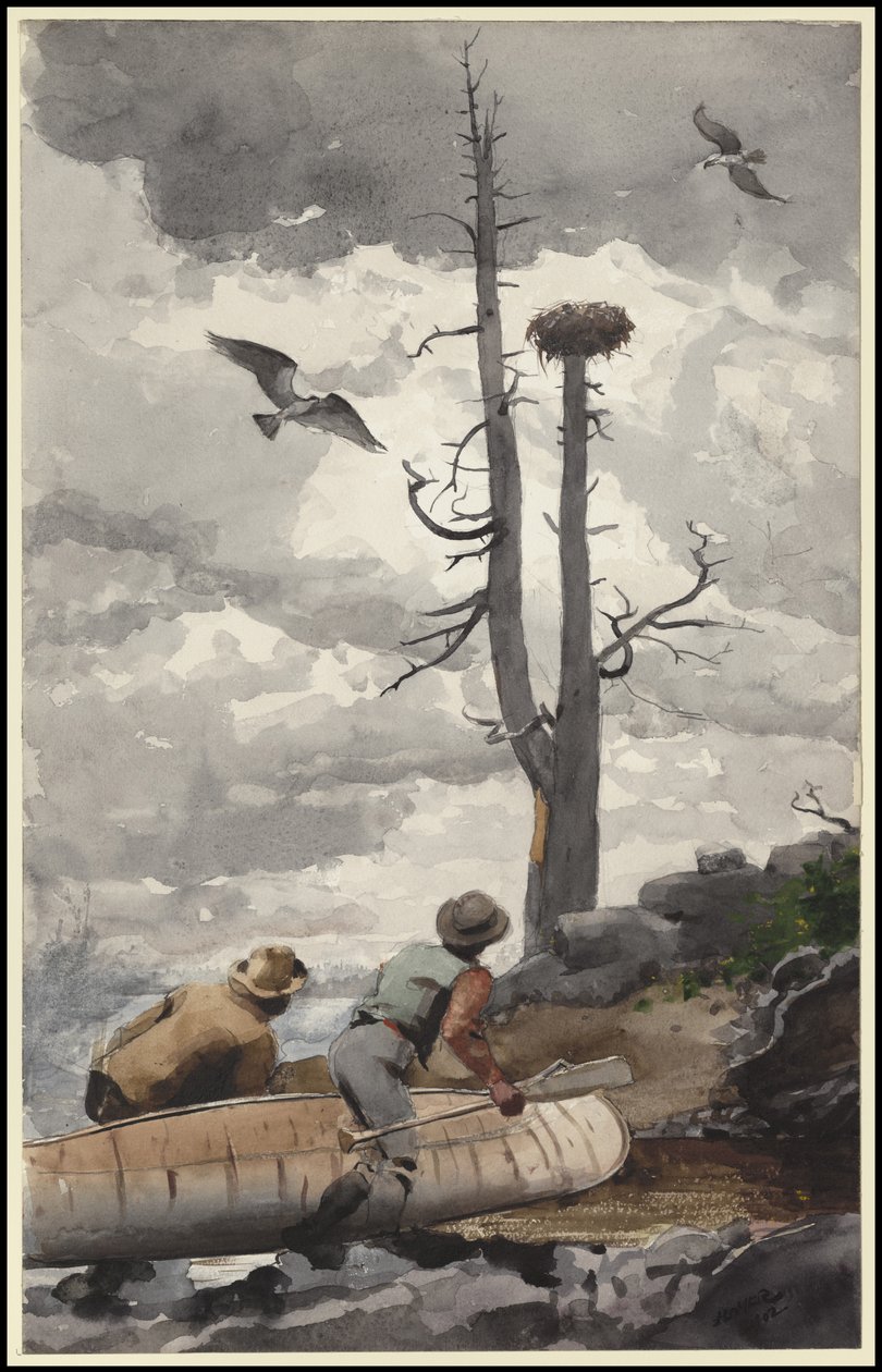 Örnnästet, 1902 av Winslow Homer