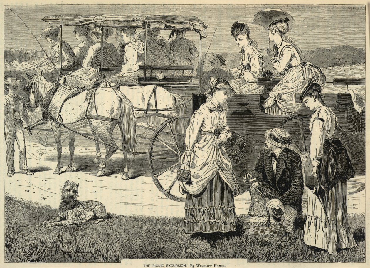 The Picnic Excursion, från Appletons