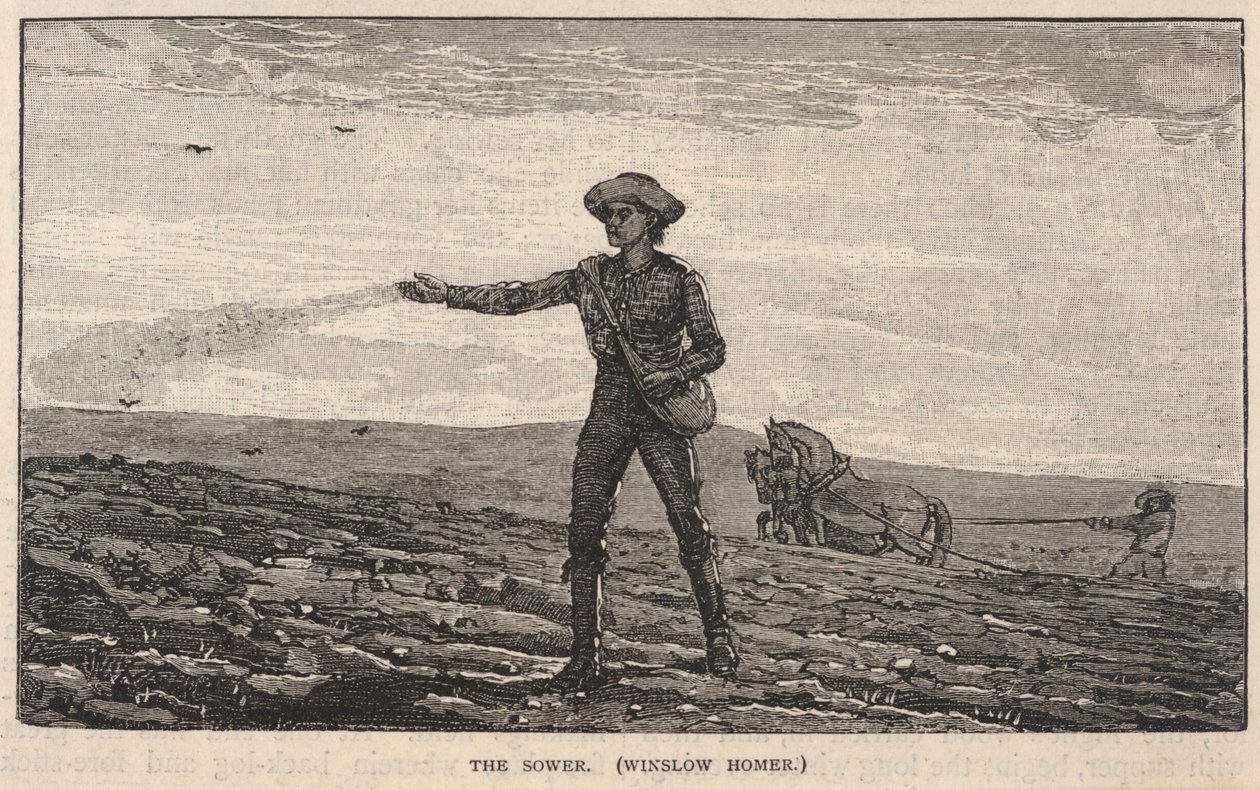 The Sower, från Scribner