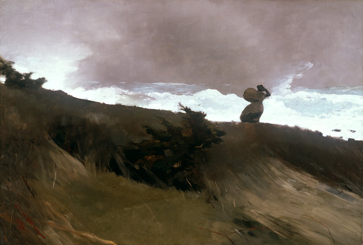 Västanvinden av Winslow Homer