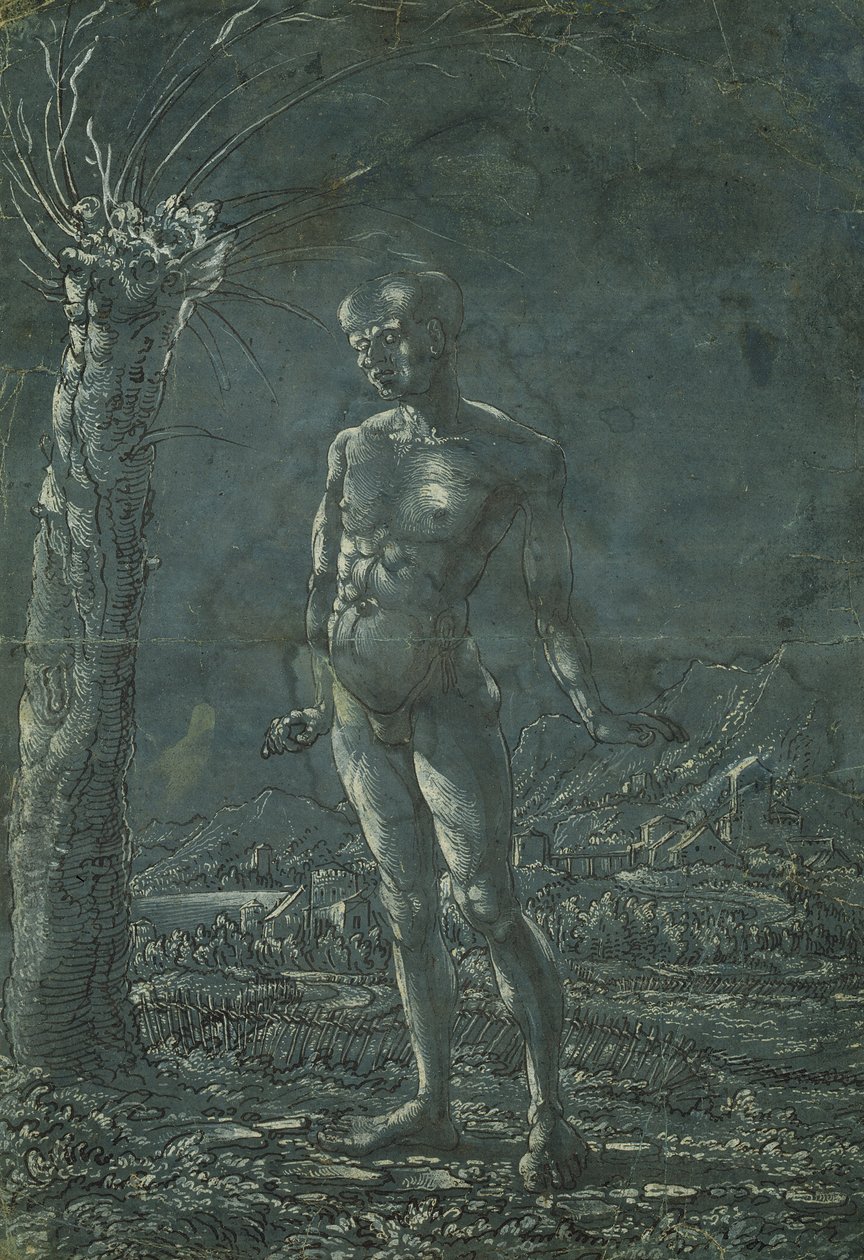 Stående naken man i ett landskap, ca 1512 (penna och svart bläck med vit markering på papper) av Wolf Huber