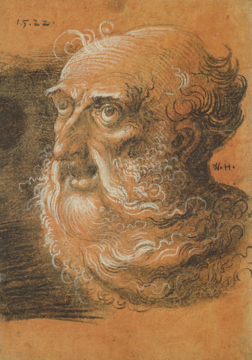 Head Study, 1522 (kol och vit krita på papper) av Wolf Huber