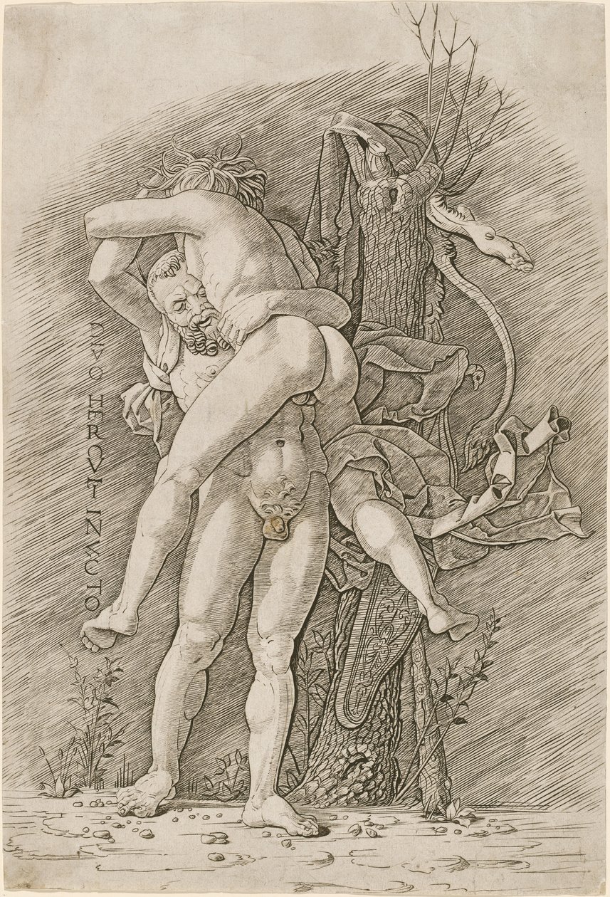 Hercules och Antaeus av Workshop of Andrea Mantegna