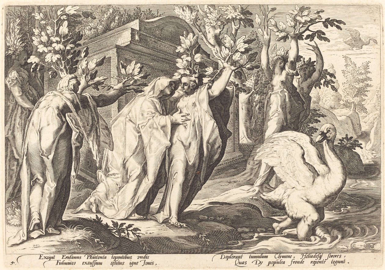 Phaetons systrar förvandlades till poppel, Cygnus till en svan av Workshop of Hendrick Goltzius, after Hendrick Goltzius