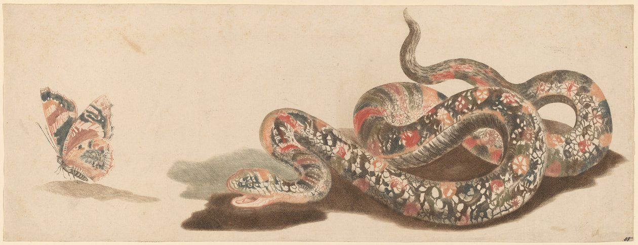 Orm och fjäril, 1680-1690-tal. av Workshop of Johann Teyler